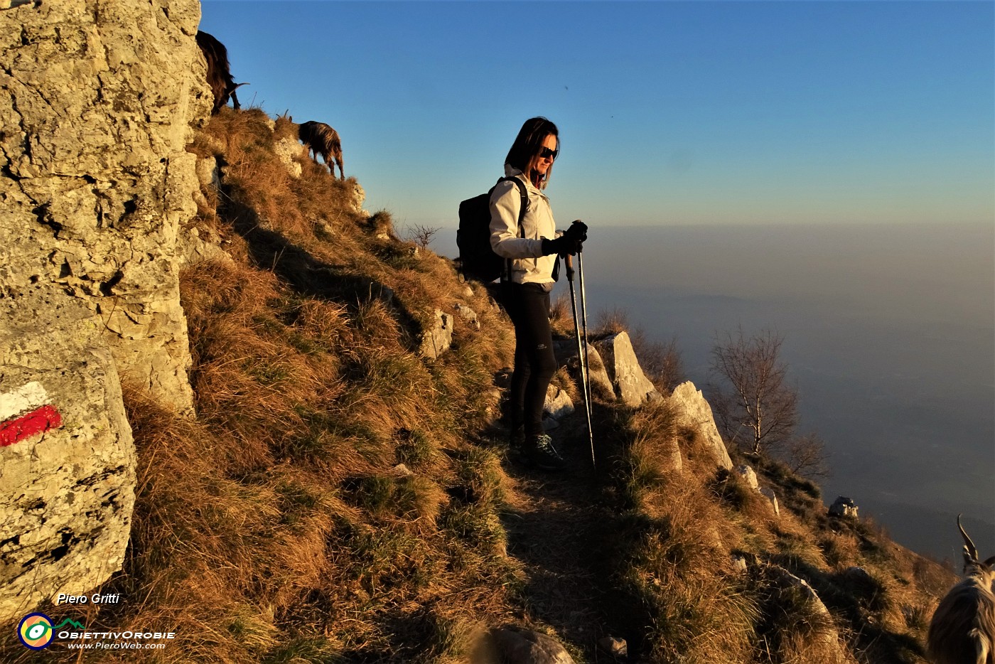 68 Scendiamo sul sent. 571 con foschia-nebbia sulla pianura.JPG